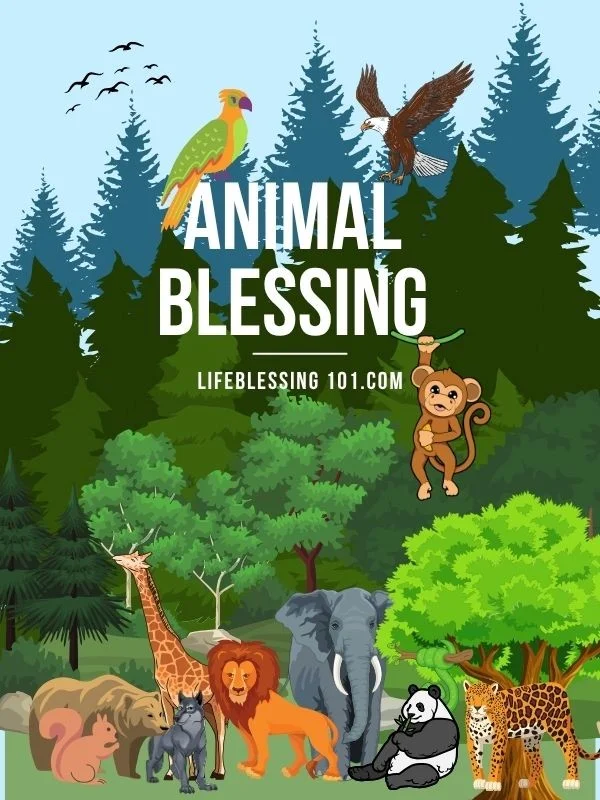 Animal Blessings